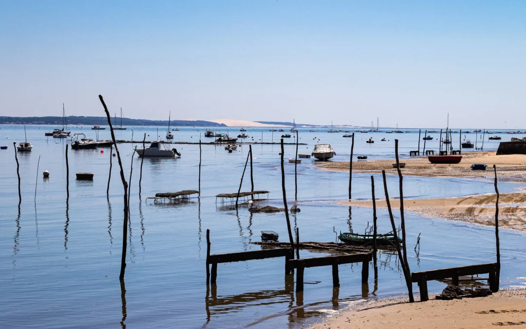 Transdev Bassin d’Arcachon et Hubup