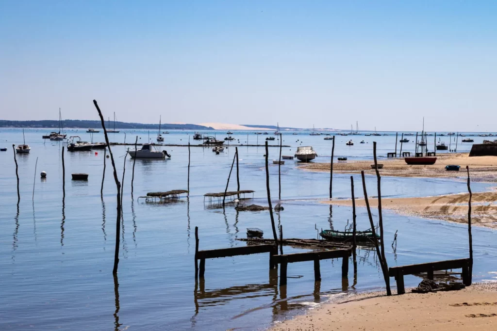 Transdev Bassin d’Arcachon et Hubup
